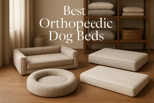 Best Orthopedic Dog Beds for Large Dogs: Comfort & Support