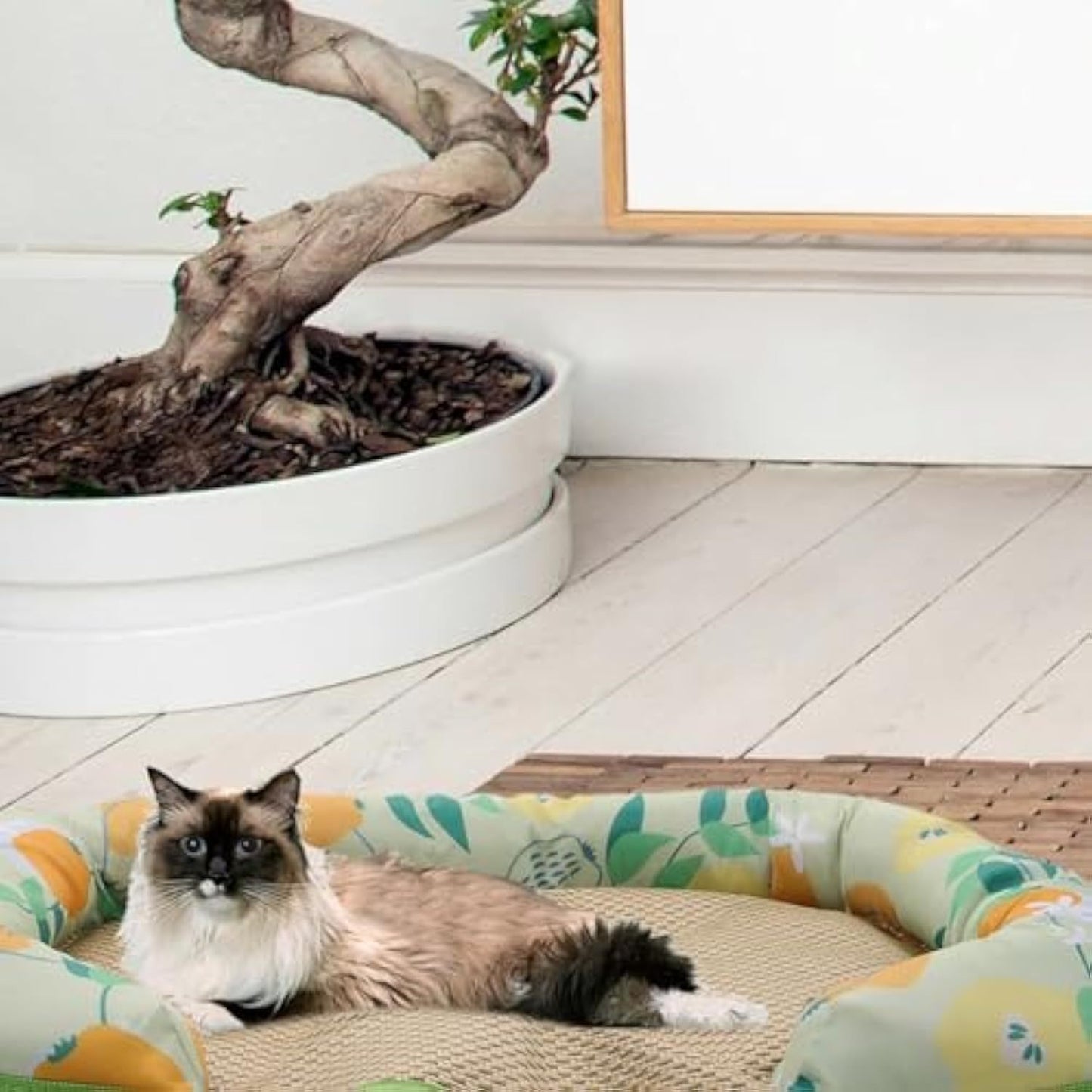 Pet Cooling Mat – Soft, Breathable Summer Sleep Pad