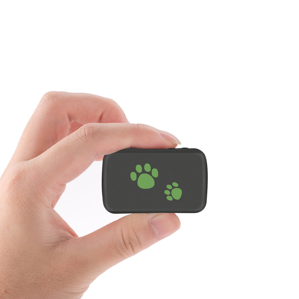 Smart Pet GPS Tag – Always Know Their Location
