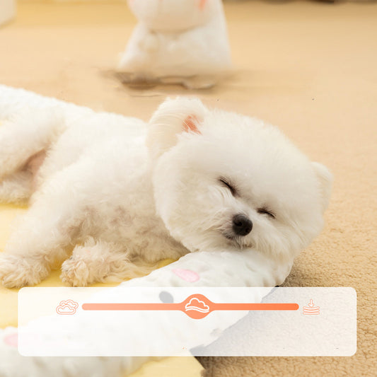 Orthopedic Dog Bed with Waterproof Cover – Cozy & Durable