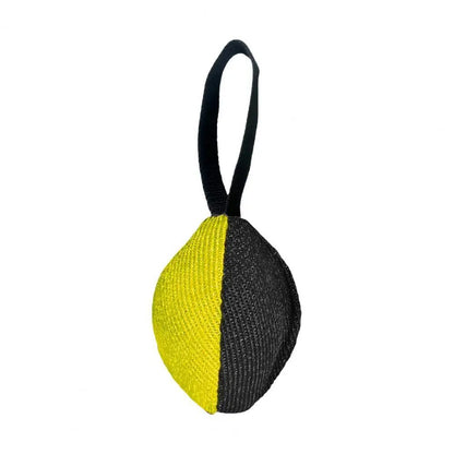 Durable Tug Toy with Handle – Fun Training for Dogs