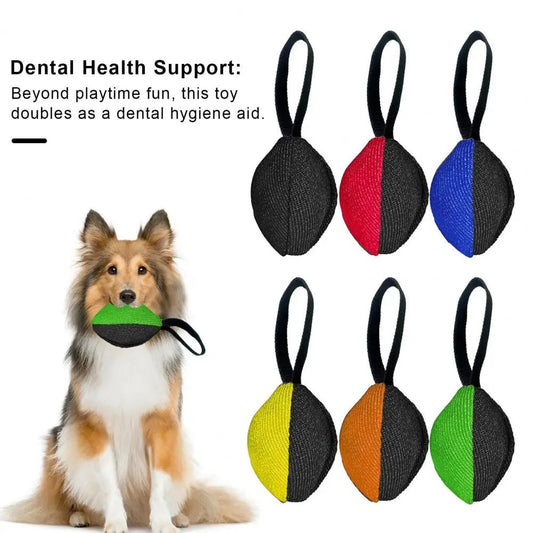 Durable Tug Toy with Handle – Fun Training for Dogs