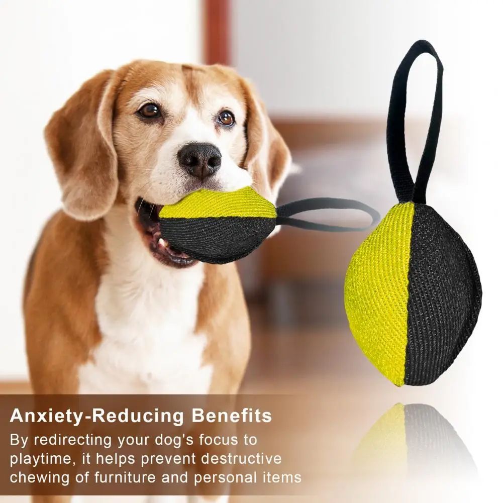 Durable Tug Toy with Handle – Fun Training for Dogs