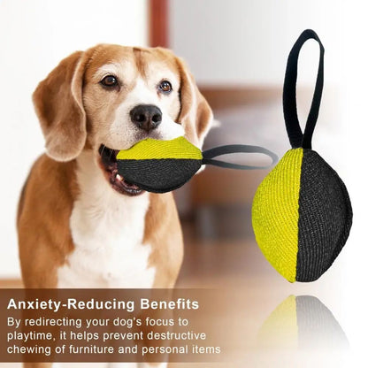 Durable Tug Toy with Handle – Fun Training for Dogs