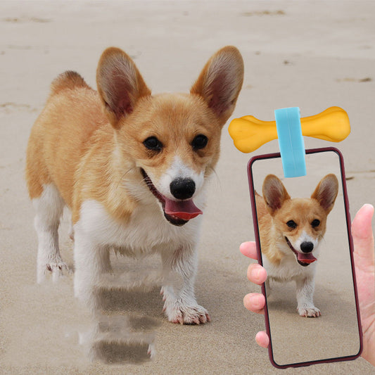Snap Cute Pet Selfies – Fun Camera Lens for Pets