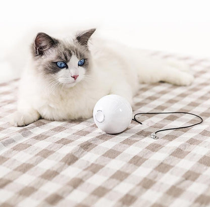 Interactive Cat Toy Ball – Active Fun Anytime, Anywhere