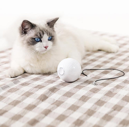 Interactive Cat Toy Ball – Active Fun Anytime, Anywhere