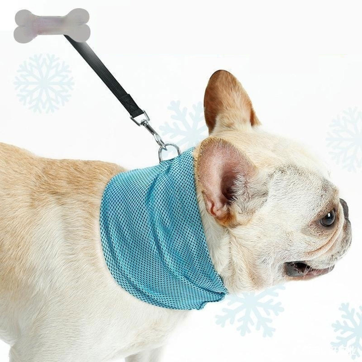 Beat the Heat: Instant Cooling Pet Bandana
