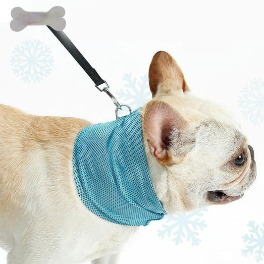 Beat the Heat: Instant Cooling Pet Bandana