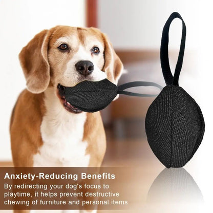 Durable Tug Toy with Handle – Fun Training for Dogs