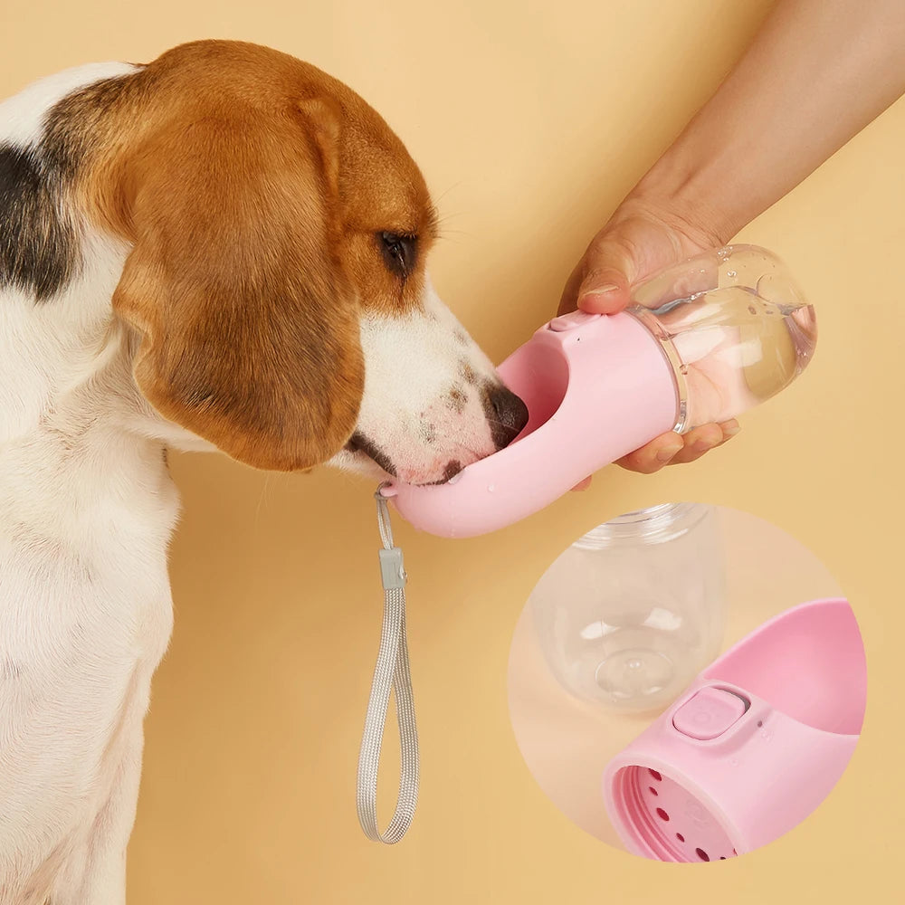Outdoor Pet Water Bottle for Dogs and Cats
