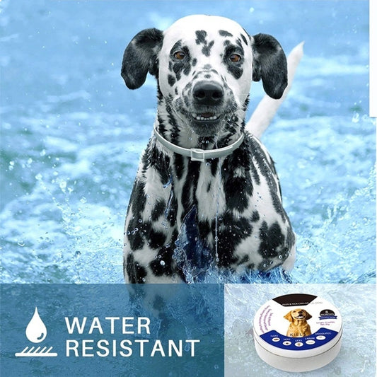 AquaGuard Pet Tick & Flea Collar