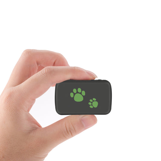 Smart Pet GPS Tag – Always Know Their Location